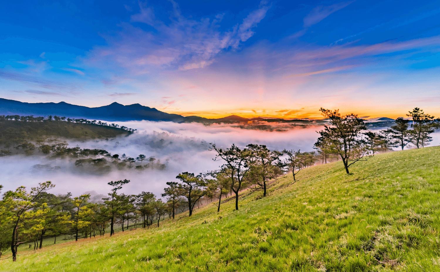 Đà Lạt - Nơi Đầu Tiên Khám Phá